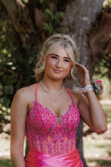 Hot Pink Appliques Ruched Long Prom Dresss