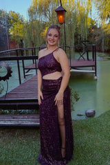 Purple One-shoulder Sequin Fitted Dress